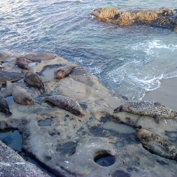La Jolla Cove - Parks Near Me - La Jolla, California La Jolla Cove - Parks Near Me - La Jolla, California