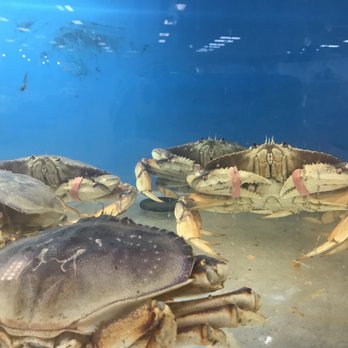 G-Mart - Dungeness crab tank - International Grocery Near Me - Milford, Connecticut