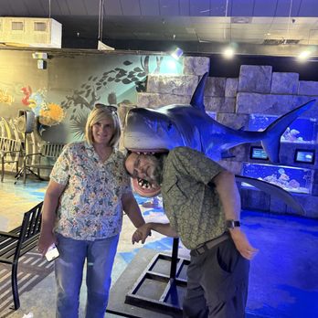 Austin Aquarium - Aquariums Near Me - Austin, Texas