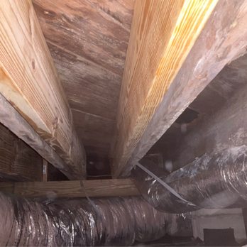 DeTect Termite & Moisture Service and The Brickkicker - Home Inspectors Near Me - Norfolk, Virginia DeTect Termite & Moisture Service and The Brickkicker - Home Inspectors Near Me - Norfolk, Virginia