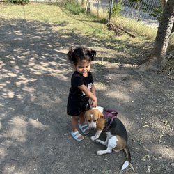 Just Works K9 Academy - Daisy with Baby Trainer (Mari)