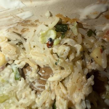 Chipotle Mexican Grill - Lady bug in bowl - Fast Food Near Me - Rocky Mount, North Carolina Chipotle Mexican Grill - Lady bug in bowl - Fast Food Near Me - Rocky Mount, North Carolina
