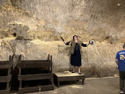 Wabasha Street Caves by null