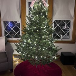 Superior Evergreens - Christmas tree