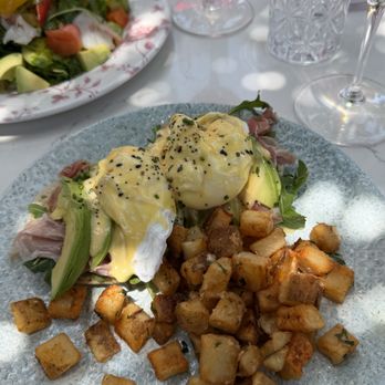 Paradiso - Avocado Eggs Benedict - Bars Near Me - Dallas, Texas