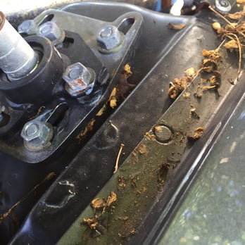 Auto Tech And Body - They butchered my caster camber plates, filled holes sloppily and moved the location of my hood's hardware for NO REASON!!!! - Auto Repair Near Me - Pompano Beach, Florida Auto Tech And Body - They butchered my caster camber plates, filled holes sloppily and moved the location of my hood's hardware for NO REASON!!!! - Auto Repair Near Me - Pompano Beach, Florida
