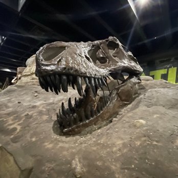 McKinley Museum - Landmarks & Historical Buildings Near Me - Canton, Ohio