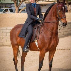 J Bennett Farms - Bennett Farms saddle seat equestrian