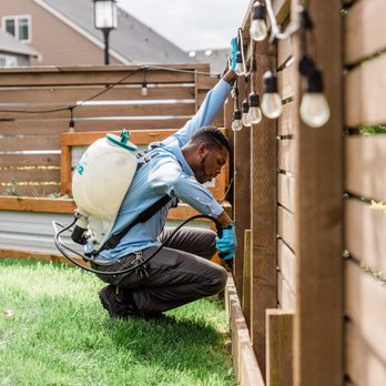 Insight Pest Control - Salem - Pest Control Near Me - Salem, Oregon Insight Pest Control - Salem - Pest Control Near Me - Salem, Oregon