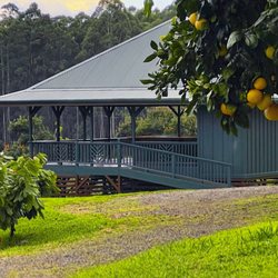 Honolii Orchards