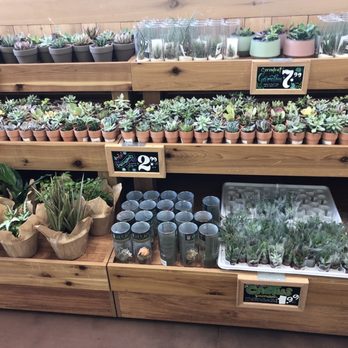 Trader Joe's - Grocery Near Me - Cottonwood Heights, Utah Trader Joe's - Grocery Near Me - Cottonwood Heights, Utah
