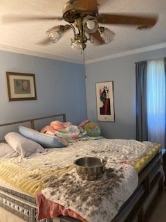 Slide of Roto-Rooter Plumbing & Water Cleanup