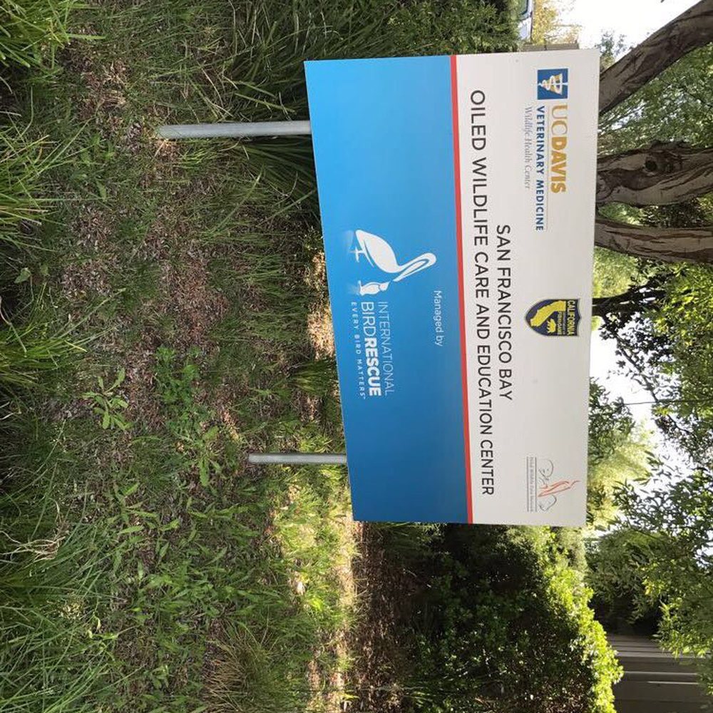 TOP 10 BEST Animal Sanctuary in Fairfield, CA - Updated 2026 - Yelp