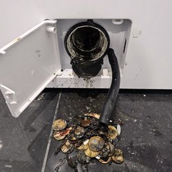 Parkfield Appliance Repair