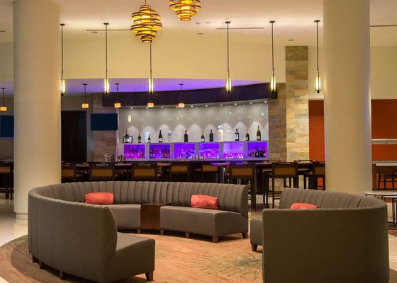 Hilton Albany by null