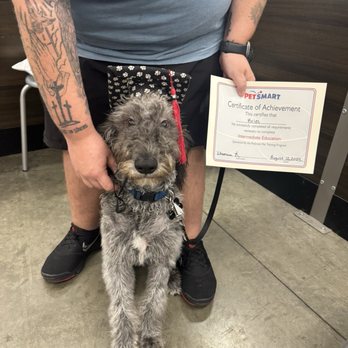 PetSmart - Pet Stores Near Me - Gastonia, North Carolina