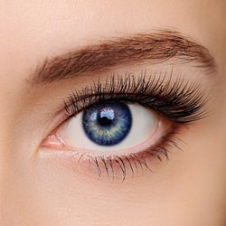 Beautiful Brows & Lashes