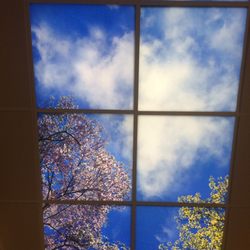 Sutter Capitol Pavilion - Soothing ceiling.