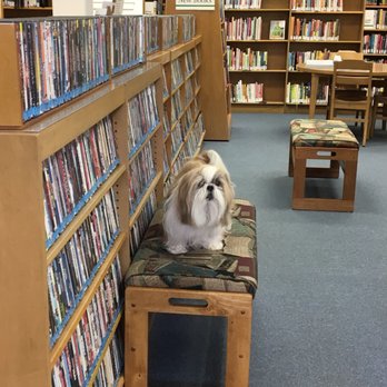 Boston Free Library - Therapy reading dog - Libraries Near Me - Boston, New York