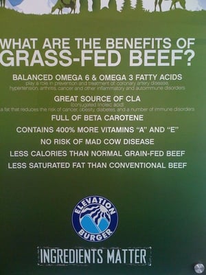 Elevation Burger by null