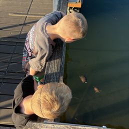 Kids looking at fish and turtles off the dock/patio area Kids looking at fish and turtles off the dock/patio area