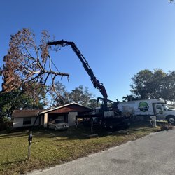 Harley's Tree Service