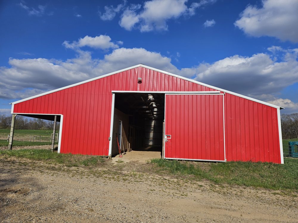 One Shot Performance Horses - equestrian in Galesburg, MI