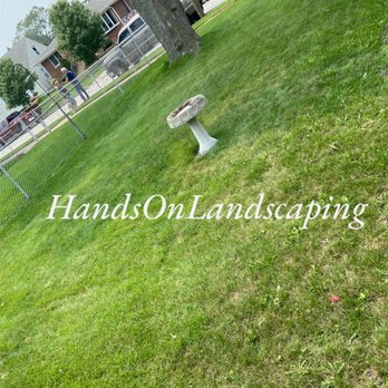 Hands on Landscaping - fire hydrant in the grass - Lawn Services Near Me Hands on Landscaping - fire hydrant in the grass - Lawn Services Near Me