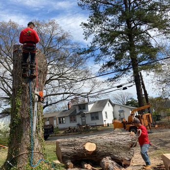 Audel Jimenez Tree Service - Tree Services Near Me Audel Jimenez Tree Service - Tree Services Near Me