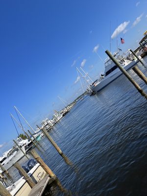 OSO at Bear Point Harbor - Orange Beach by null
