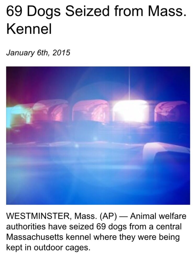 CEDARSHAKE KENNELS Updated April 2024 21 Harrington Rd, Westminster