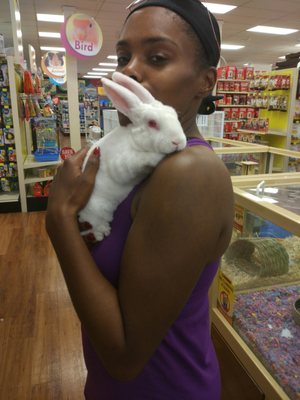 rabbit pet supermarket