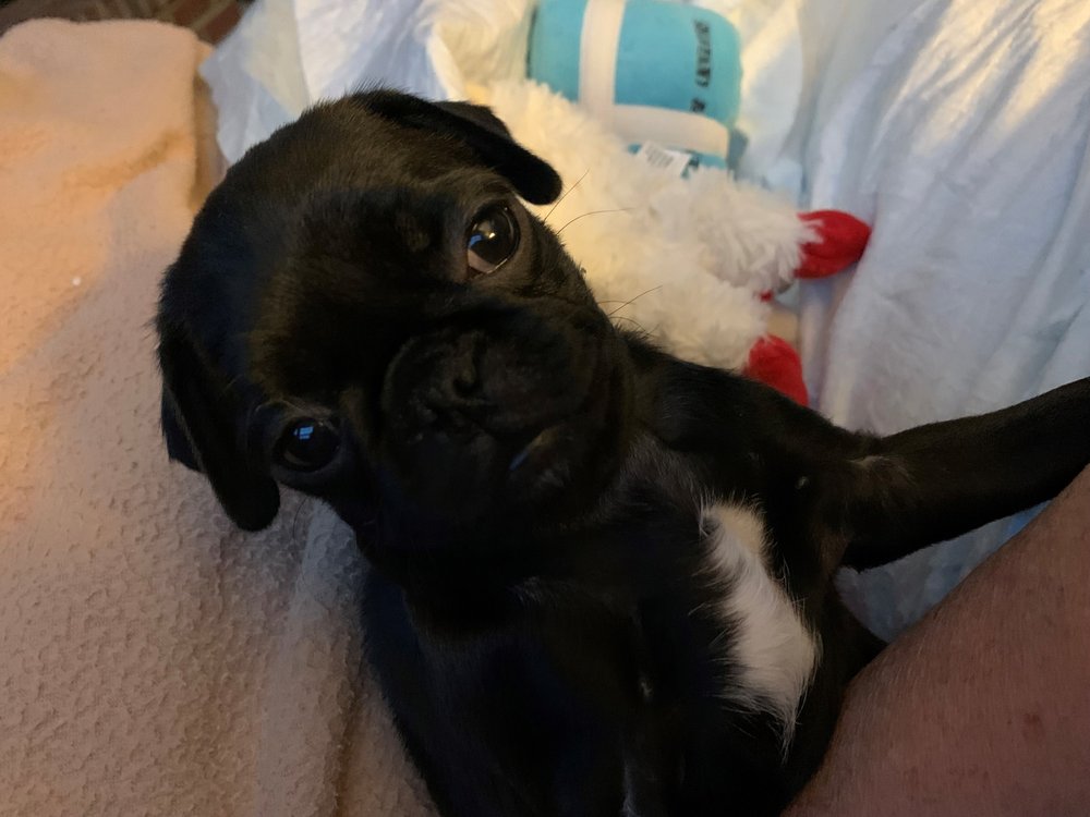 DARCARS CHRYSLER JEEP WALDORF Updated September 2024 34 Reviews