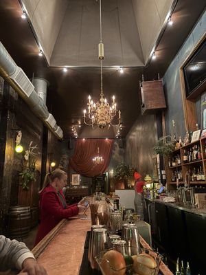 The Cat House by null