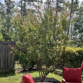 Moon Valley Nurseries - Landscaping Near Me - Spring, Texas