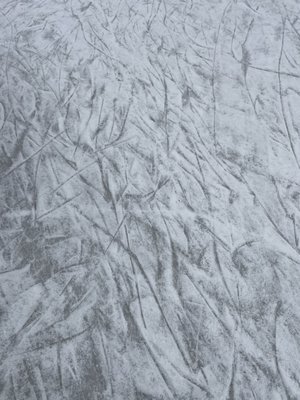 Woodland Hills on Ice by null