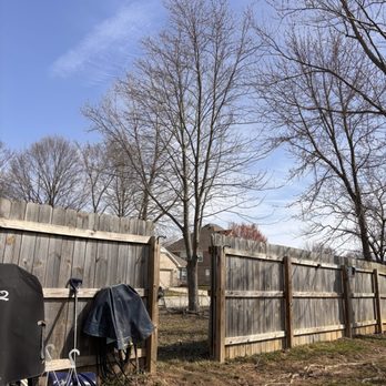 Leo Tree Service - Outer yard pruned tree - Tree Services Near Me Leo Tree Service - Outer yard pruned tree - Tree Services Near Me