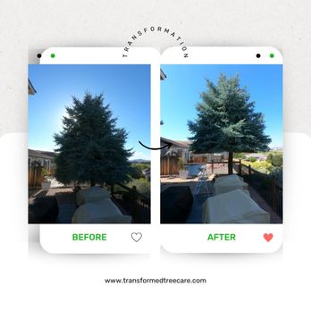 Transformed Tree Care - Crown Raise and view improvement to outdoor deck in Spanish Springs NV - Tree Services Near Me - Reno, Nevada Transformed Tree Care - Crown Raise and view improvement to outdoor deck in Spanish Springs NV - Tree Services Near Me - Reno, Nevada