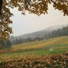 David Hill Winery gift card