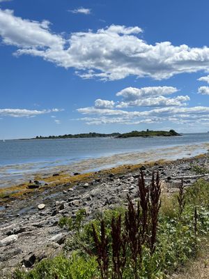 Dolphin Marina & Restaurant by null