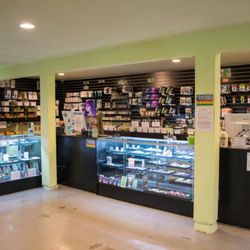 Green City Collective - Photo from westerncultured.com