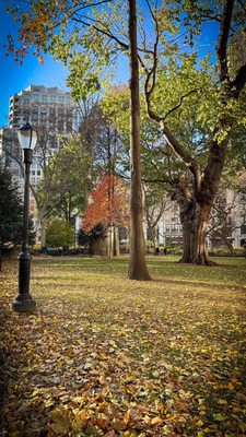 Madison Square Park by null