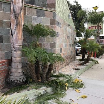 Greenwest Landscaping - Eagle In hotel Long Beach. Ca - Landscaping Near Me