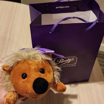 Purdys Chocolatier - Hedgehog - Chocolatiers & Shops Near Me - Vancouver, British Columbia Purdys Chocolatier - Hedgehog - Chocolatiers & Shops Near Me - Vancouver, British Columbia