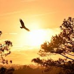 Graceful Transitions - Memory care, Assisted Living, Senior living experts  Bozeman, Belgrade, southwest,  all Montana