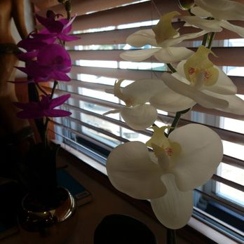 Orchid Cafe - Flowers beautiful - Thai Near Me - Troy, Michigan Orchid Cafe - Flowers beautiful - Thai Near Me - Troy, Michigan