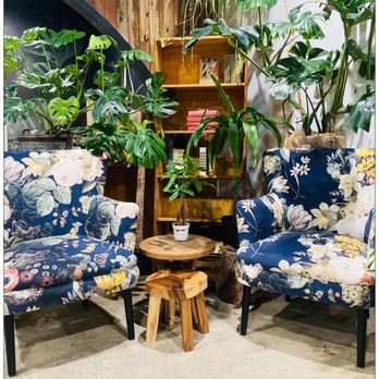 Lost Books - These English Lounge Chairs were very comfy while you read a book. #DUDEYOUREGETTINMARRIED - Vinyl Records Near Me - Montrose, California