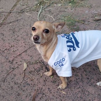 Ntensetees - Coco Sporting the great Embroidy work from Ntense Tees - Embroidery & Crochet Near Me - Upland, California Ntensetees - Coco Sporting the great Embroidy work from Ntense Tees - Embroidery & Crochet Near Me - Upland, California