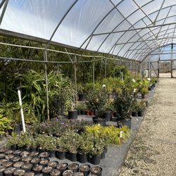 Magnolia Landscape Supply