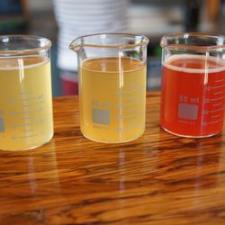 Wild Brewing - Closeup of ginger peach, orange dreamcicle and cherry lime coconut